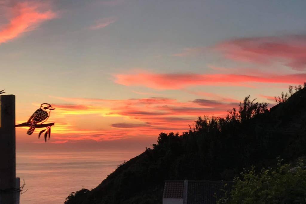 Villa Sunset Nest à Ponta Delgada Extérieur photo